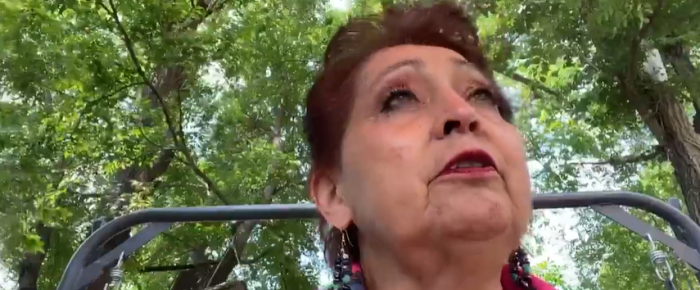 LaDonna Brave Bull Allard: Standing Rock Elder and Water Protector LaDonna Brave Bull Allard: Standing Rock Elder and Water Protector